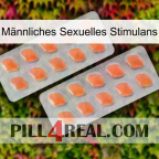 Männliches Sexuelles Stimulans 27